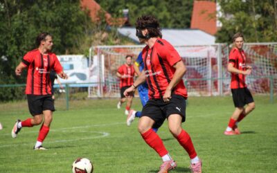 SC Gottmadingen-Bietingen – SpVgg F.A.L. 1:3 (0:3)